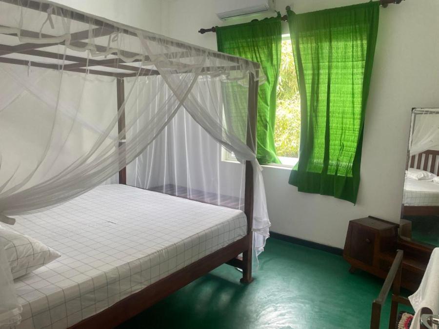 Why Not Backpackers Albergue Mirissa Exterior foto
